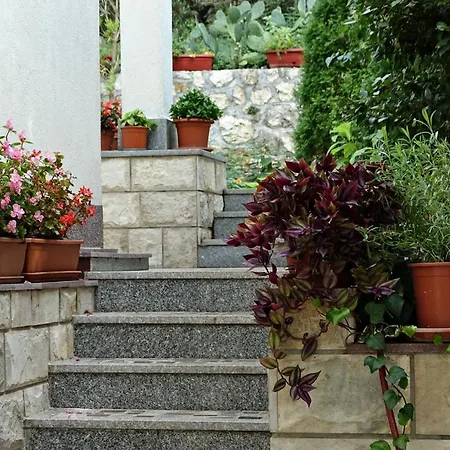 Maja Homestay Podaca